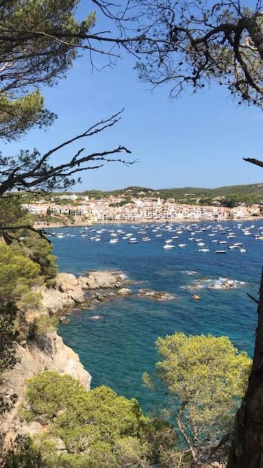 The Golden Oak In Calella Centre - 100M From Beach Palafrugell Exterior photo